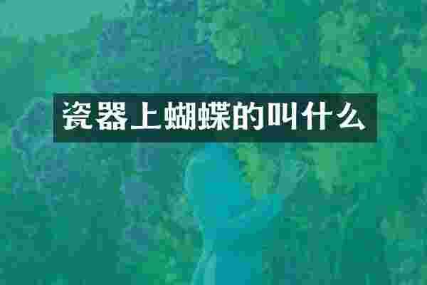 瓷器上蝴蝶的叫什么