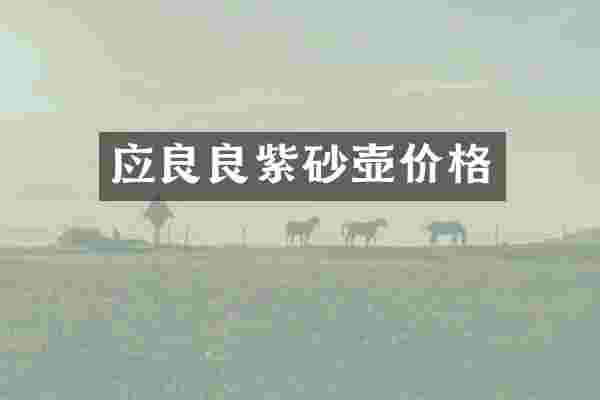 应良良紫砂壶价格