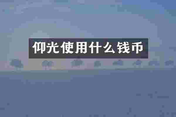 仰光使用什么钱币
