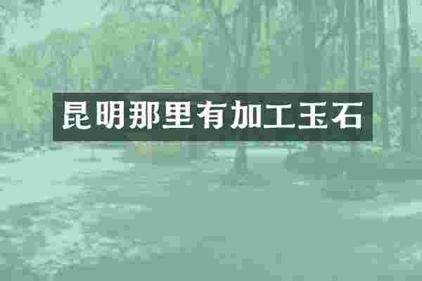 昆明那里有加工玉石