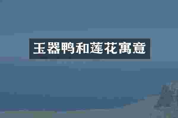 玉器鸭和莲花寓意