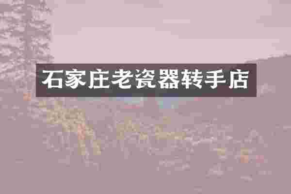 石家庄老瓷器转手店