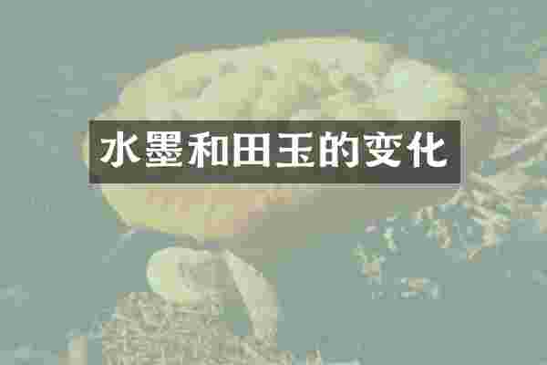 水墨和田玉的变化