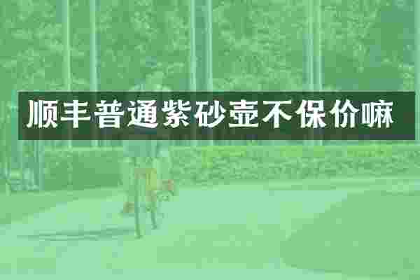 顺丰普通紫砂壶不保价嘛