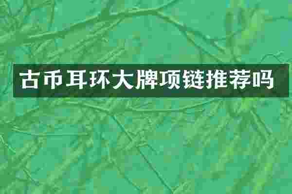 古币耳环大牌项链推荐吗