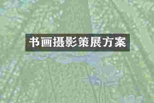 书画摄影策展方案