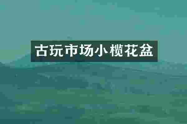 古玩市场小榄花盆