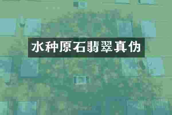 水种原石翡翠真伪