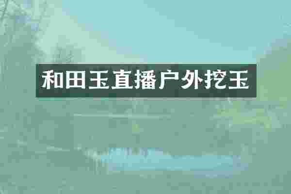 和田玉直播户外挖玉