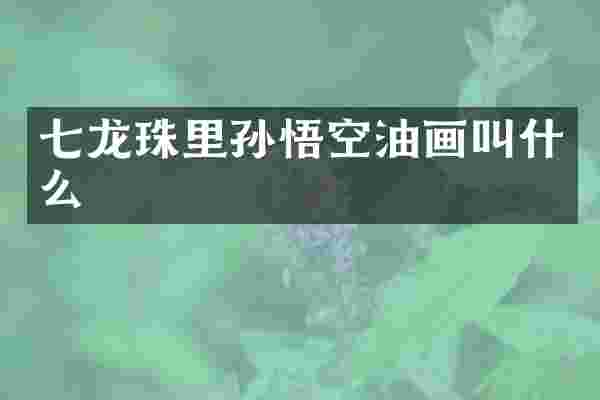 七龙珠里孙悟空油画叫什么