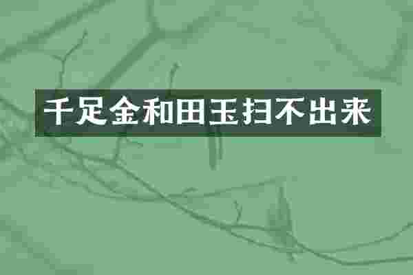 千足金和田玉扫不出来