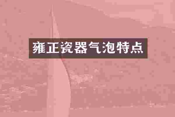 雍正瓷器气泡特点