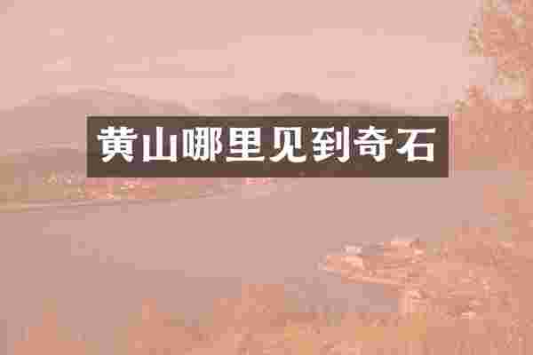 黄山哪里见到奇石