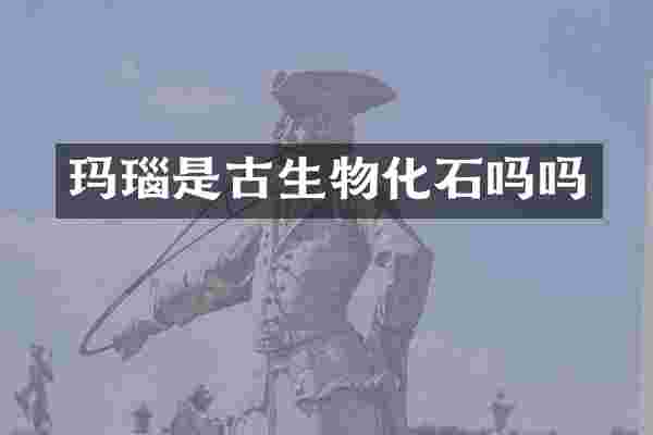 玛瑙是古生物化石吗吗