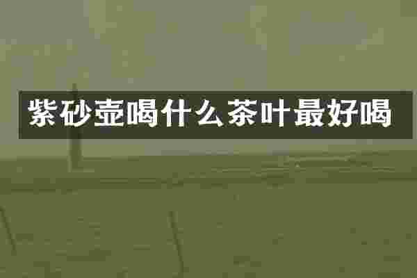 紫砂壶喝什么茶叶最好喝