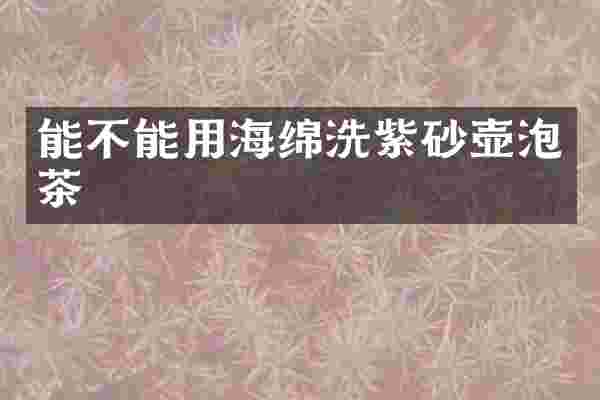 能不能用海绵洗紫砂壶泡茶