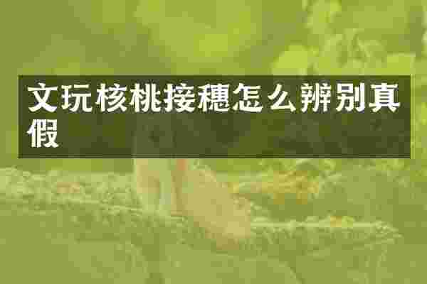 文玩核桃接穗怎么辨别真假