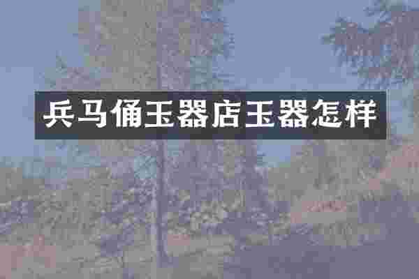 兵马俑玉器店玉器怎样