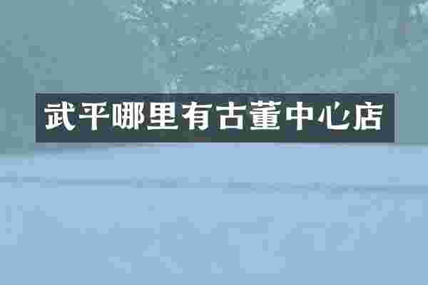 武平哪里有古董中心店
