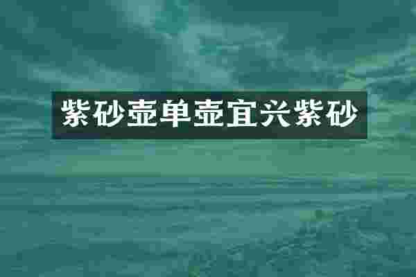 紫砂壶单壶宜兴紫砂