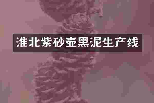 淮北紫砂壶黑泥生产线