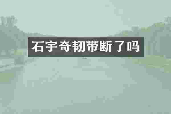 石宇奇韧带断了吗