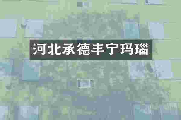 河北承德丰宁玛瑙