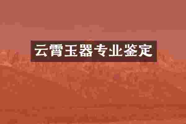 云霄玉器专业鉴定
