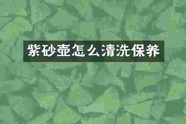 紫砂壶怎么清洗保养