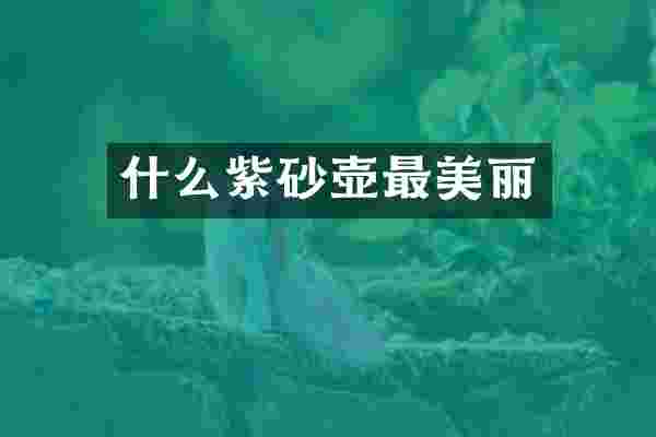 什么紫砂壶最美丽