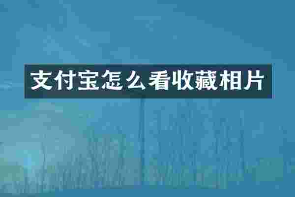 支付宝怎么看收藏相片