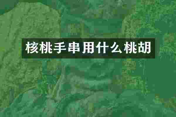 核桃手串用什么桃胡