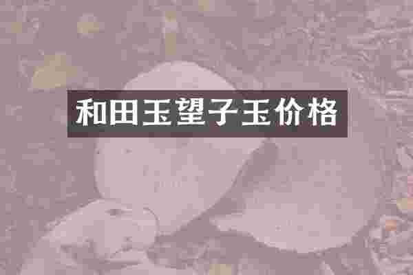 和田玉望子玉价格