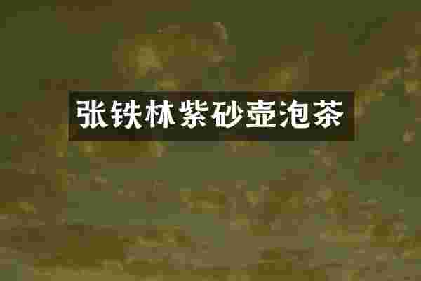张铁林紫砂壶泡茶
