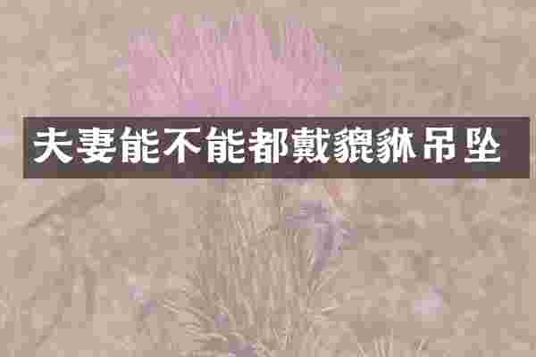 夫妻能不能都戴貔貅吊坠
