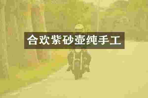 合欢紫砂壶纯手工