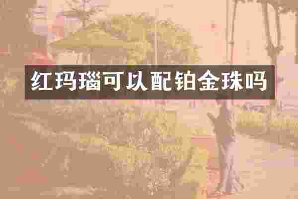 红玛瑙可以配铂金珠吗