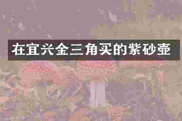 在宜兴金三角买的紫砂壶