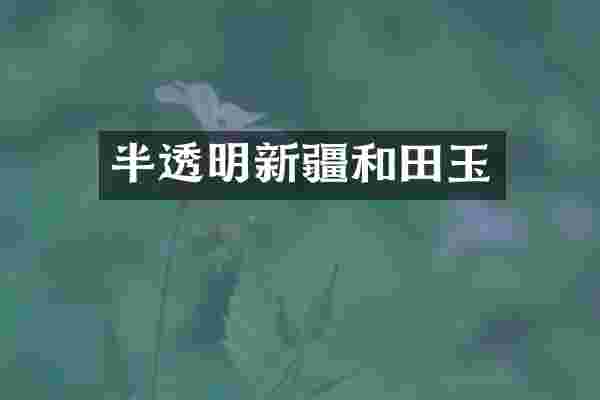半透明新疆和田玉