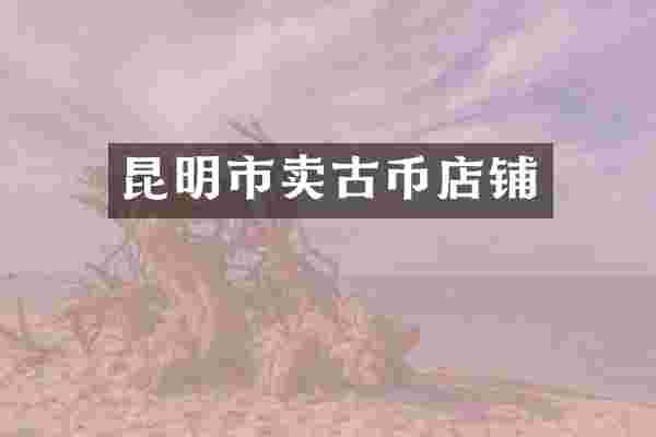 昆明市卖古币店铺