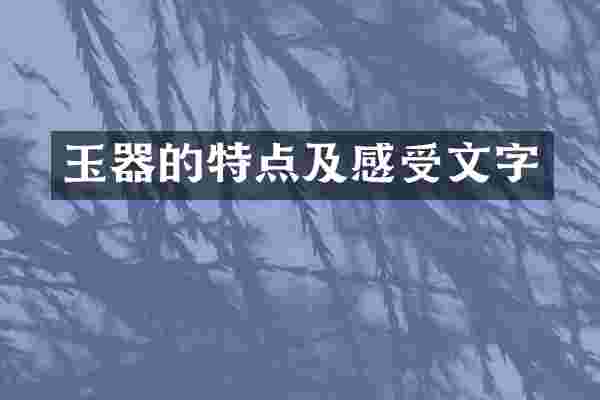 玉器的特点及感受文字