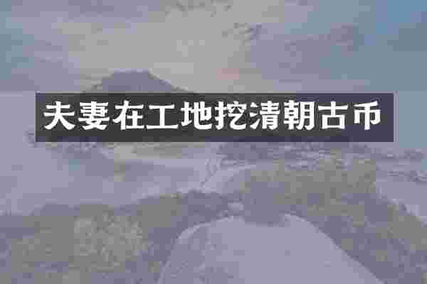 夫妻在工地挖清朝古币