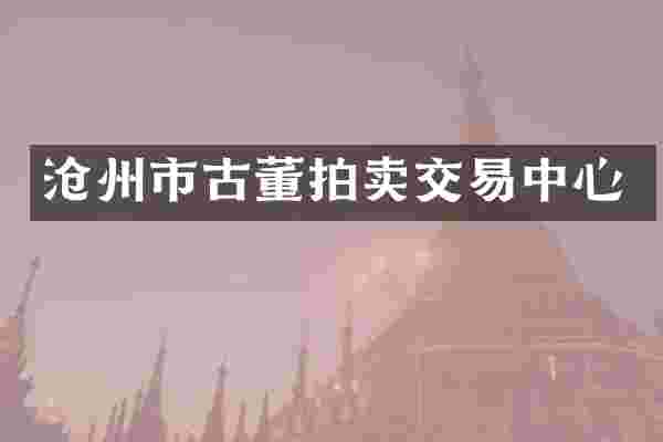 沧州市古董拍卖交易中心