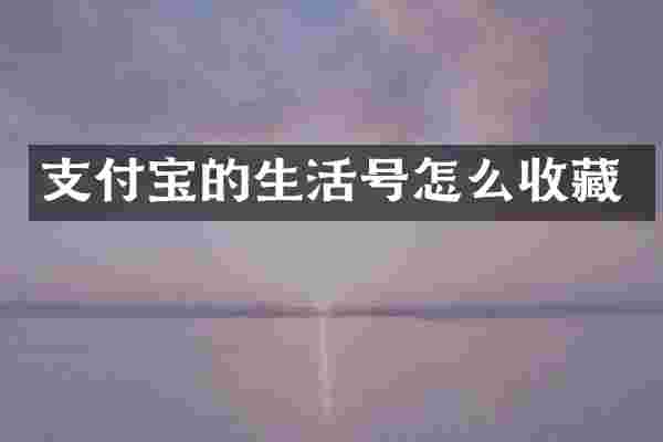 支付宝的生活号怎么收藏