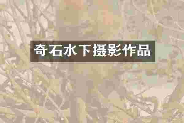 奇石水下摄影作品