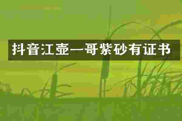 抖音江壶一哥紫砂有证书