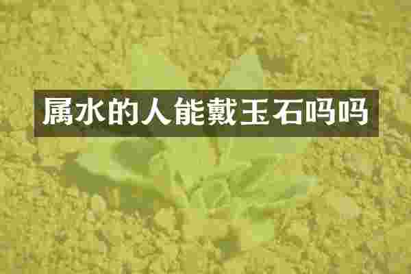 属水的人能戴玉石吗吗