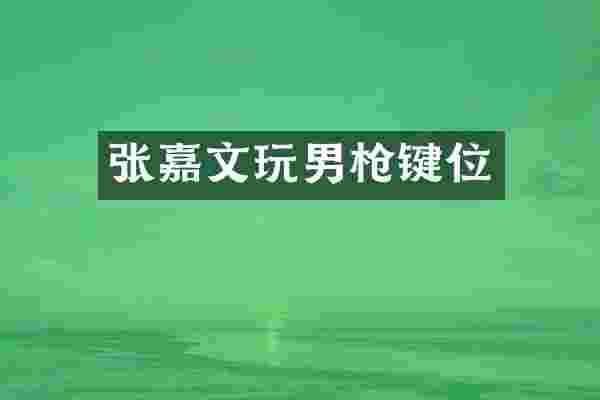 张嘉文玩男枪键位
