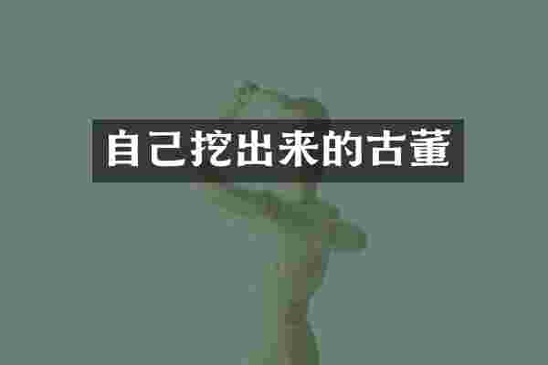 自己挖出来的古董
