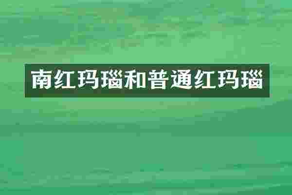 南红玛瑙和普通红玛瑙